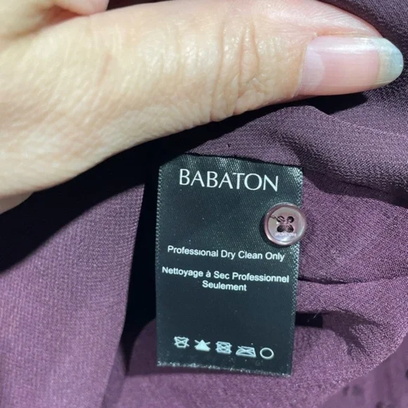 Aritzia Babaton Womens Silk Blend Blouse V-Neck Swiss Dot 3/4 Sleeve Size XS - Picture 3 of 12